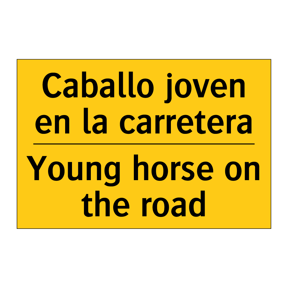Caballo joven en la carretera - Young horse on the road