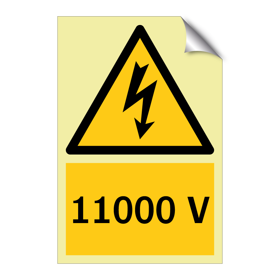 11000 V