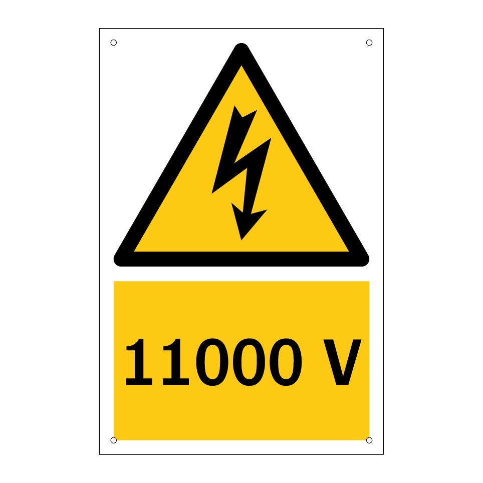 11000 V