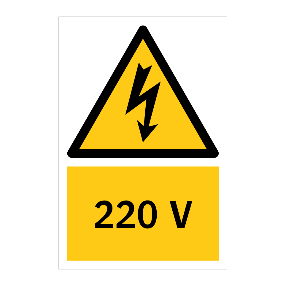 220 V