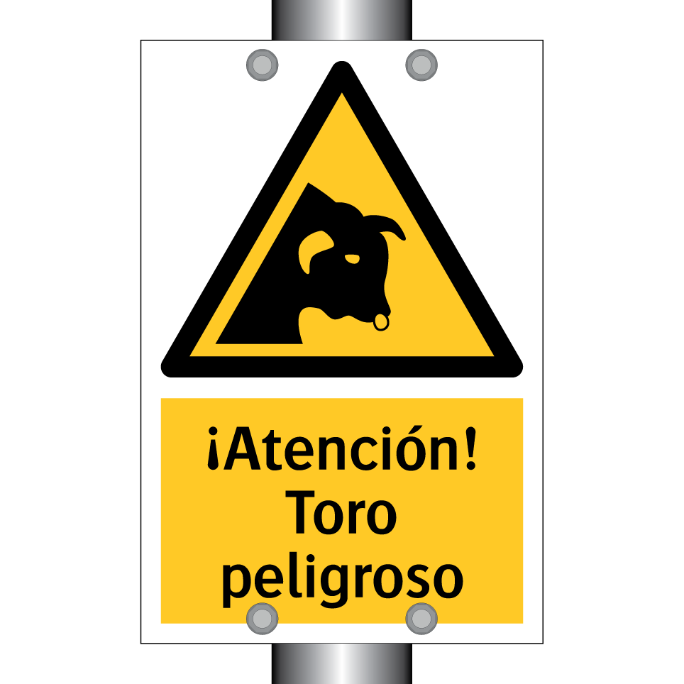¡Atención! Toro peligroso