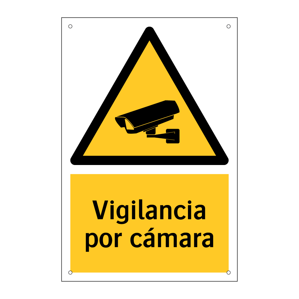 Vigilancia por cámara