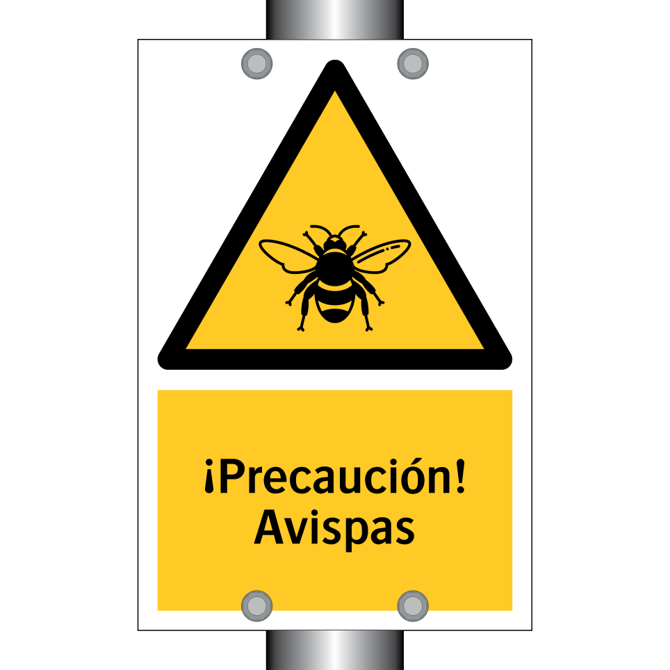 ¡Precaución! Avispas