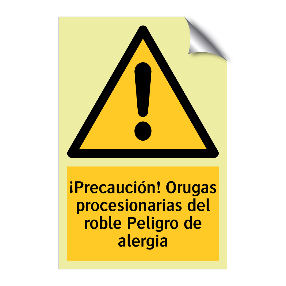 ¡Precaución! Orugas procesionarias del roble Peligro de alergia