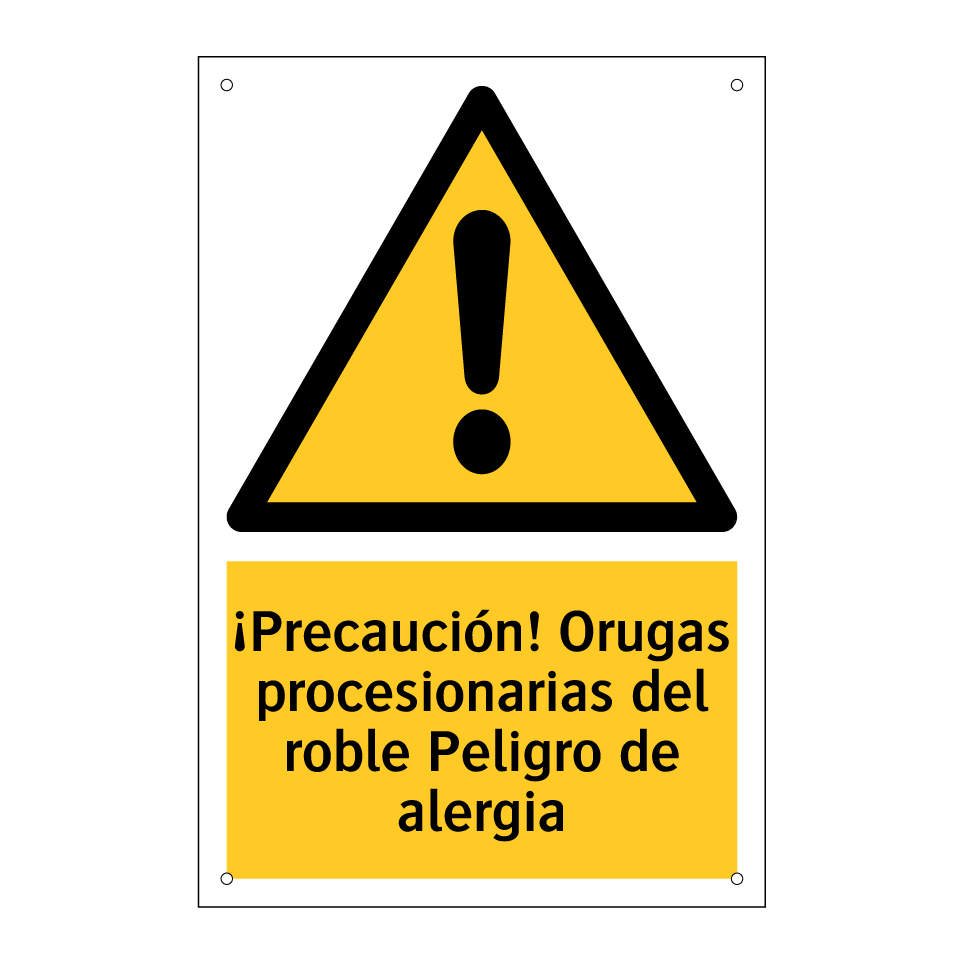 ¡Precaución! Orugas procesionarias del roble Peligro de alergia