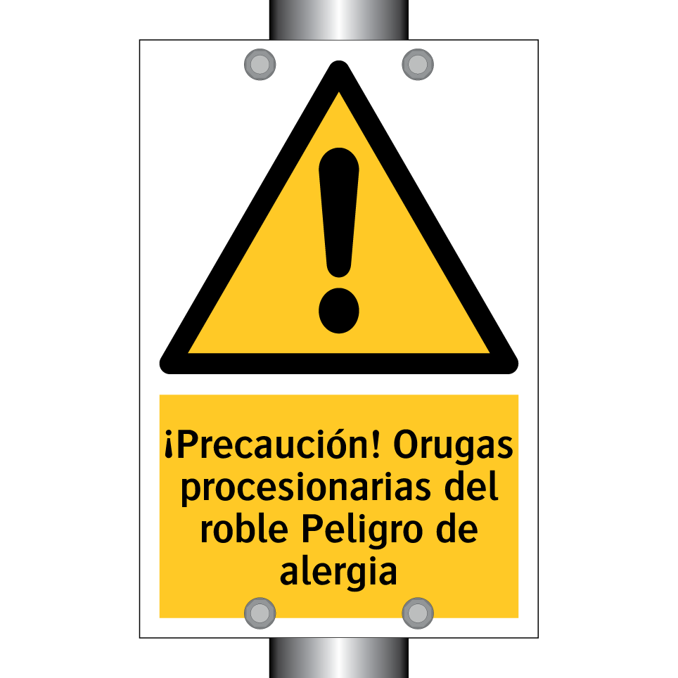 ¡Precaución! Orugas procesionarias del roble Peligro de alergia