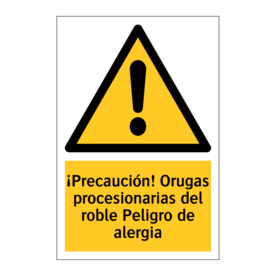 ¡Precaución! Orugas procesionarias del roble Peligro de alergia