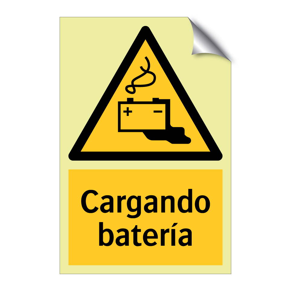 Cargando batería
