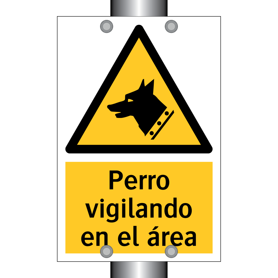 Perro vigilando en el área