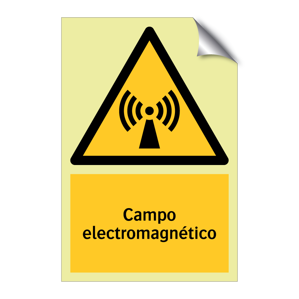 Campo electromagnético