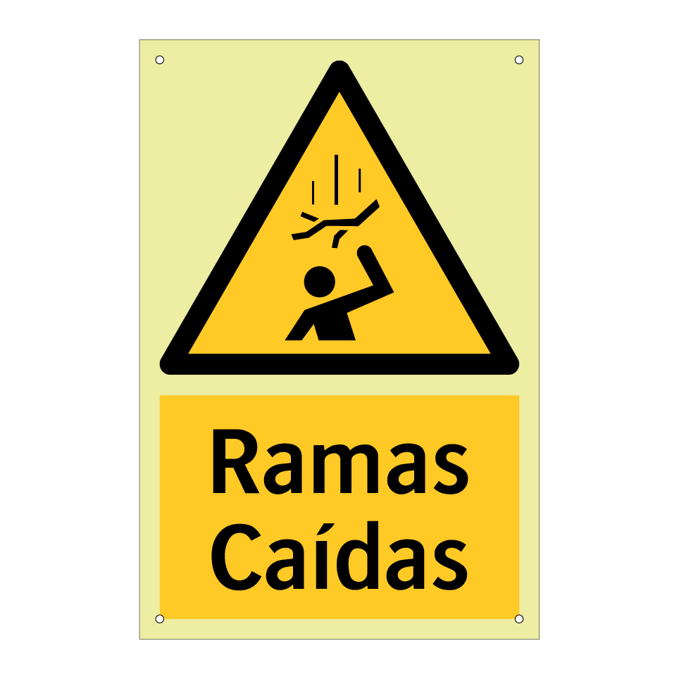 Ramas Caídas