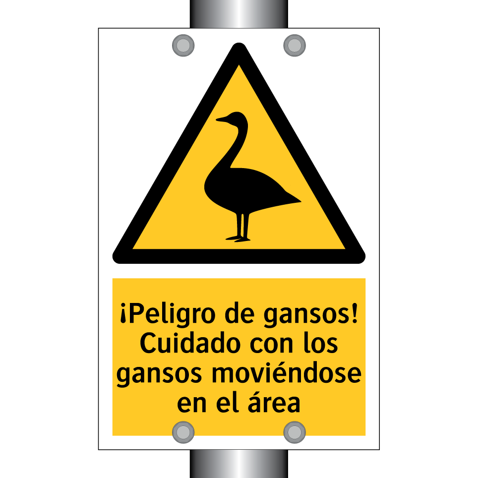 ¡Peligro de gansos! Cuidado con los gansos moviéndose en el área