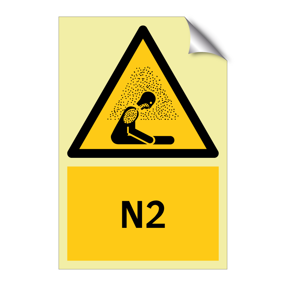 N2