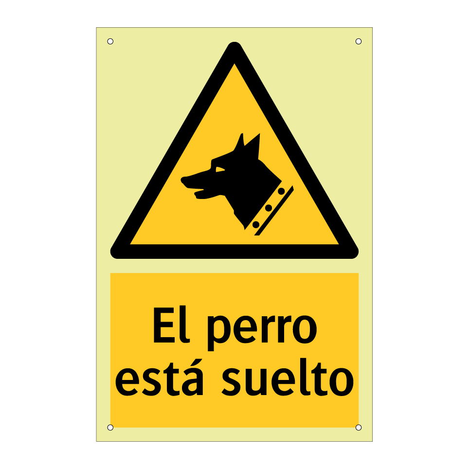 El perro está suelto