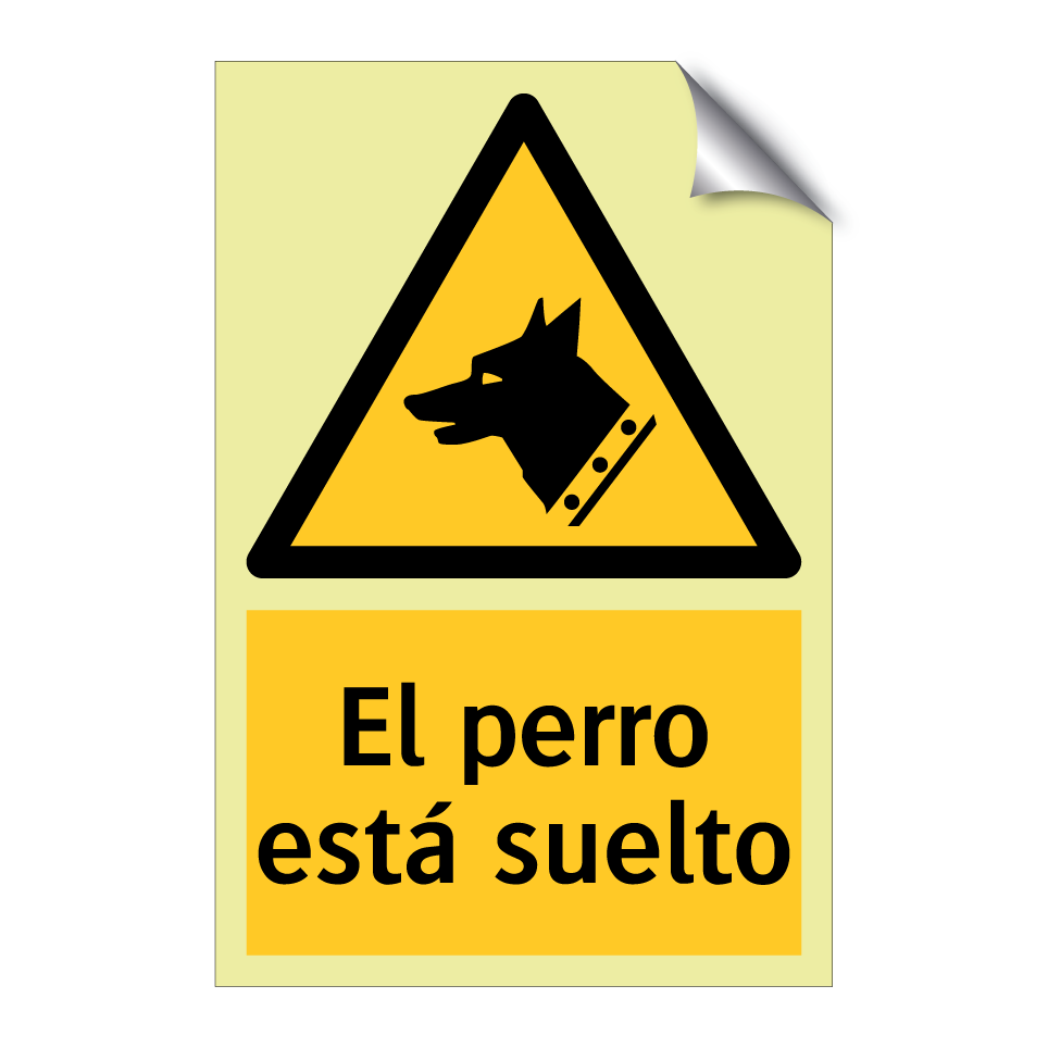 El perro está suelto