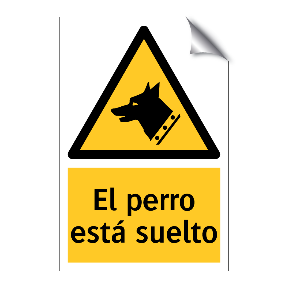 El perro está suelto