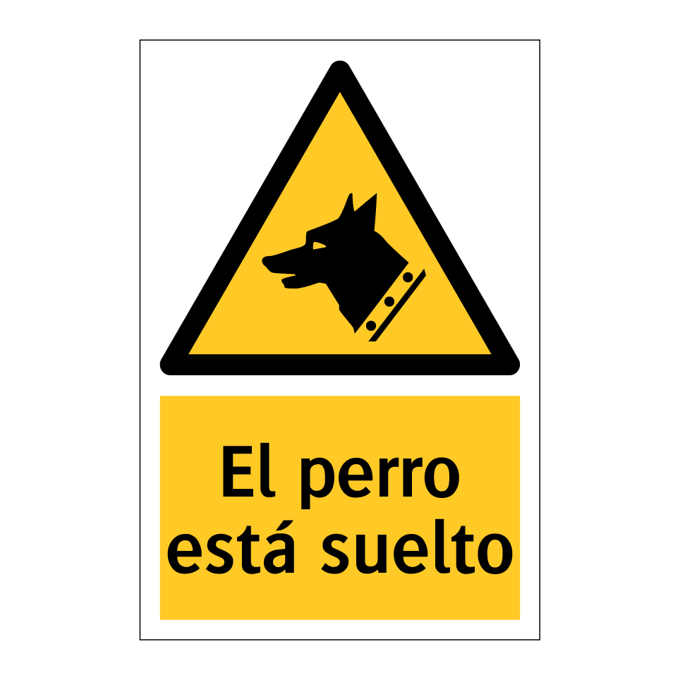 El perro está suelto
