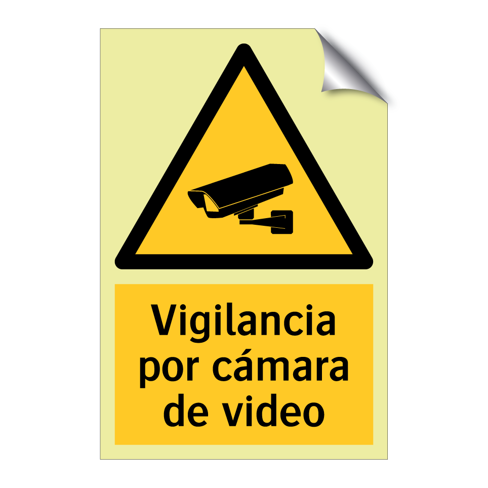Vigilancia por cámara de video