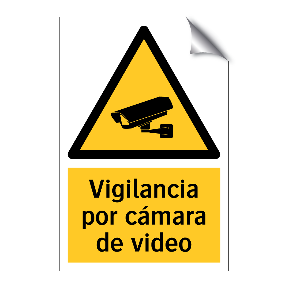 Vigilancia por cámara de video