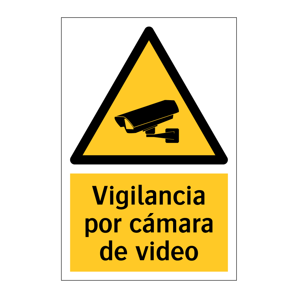 Vigilancia por cámara de video