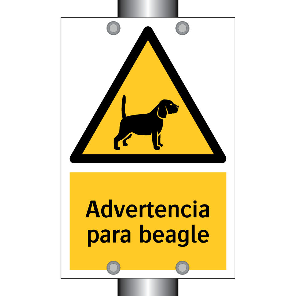 Advertencia para beagle