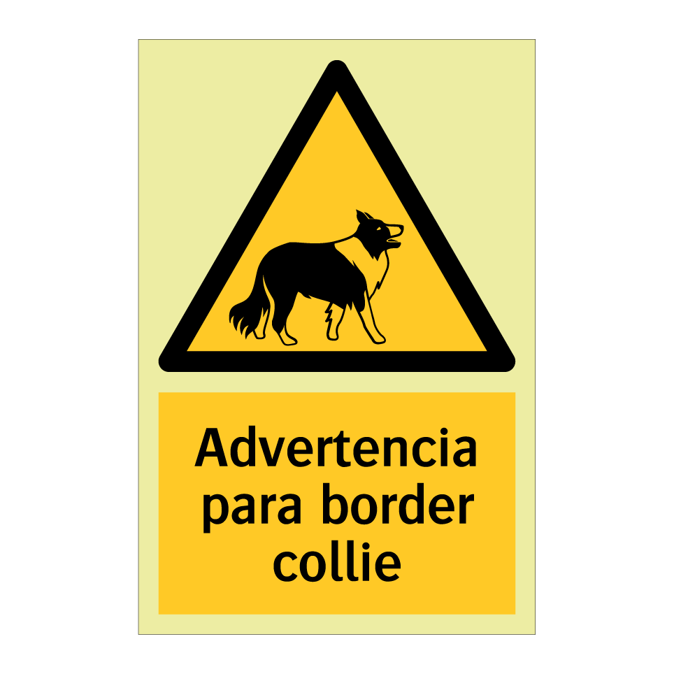 Advertencia para border collie