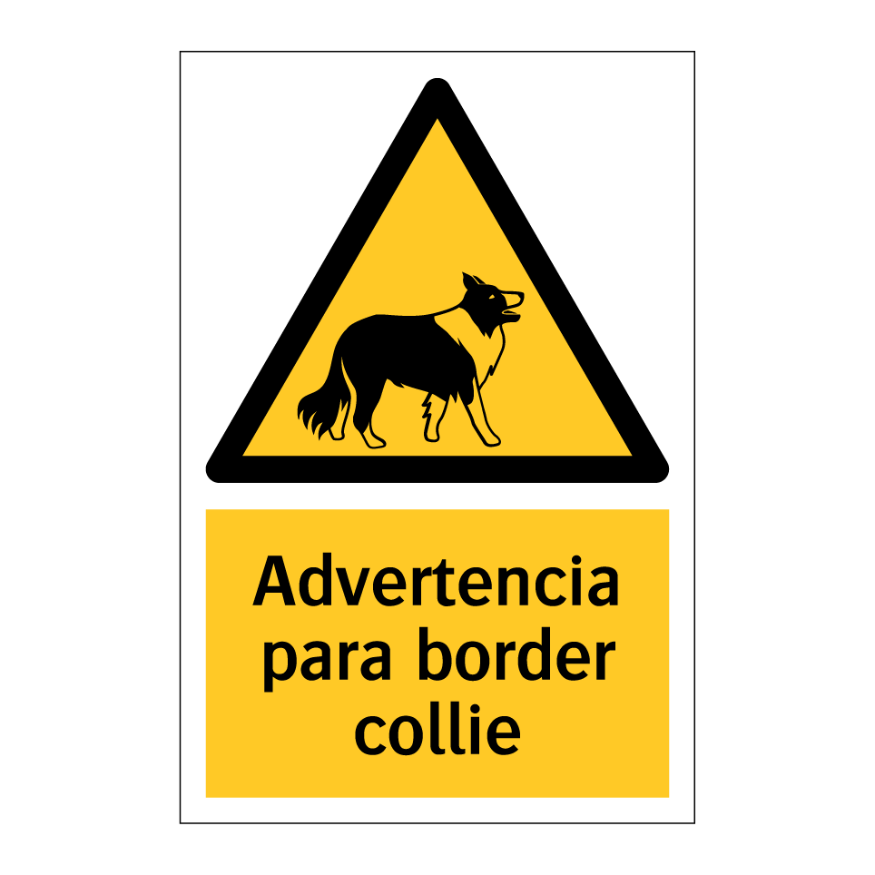 Advertencia para border collie