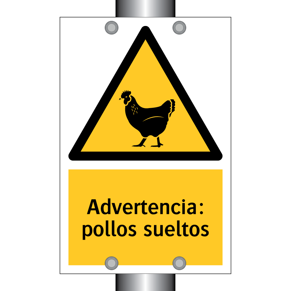 Advertencia: pollos sueltos