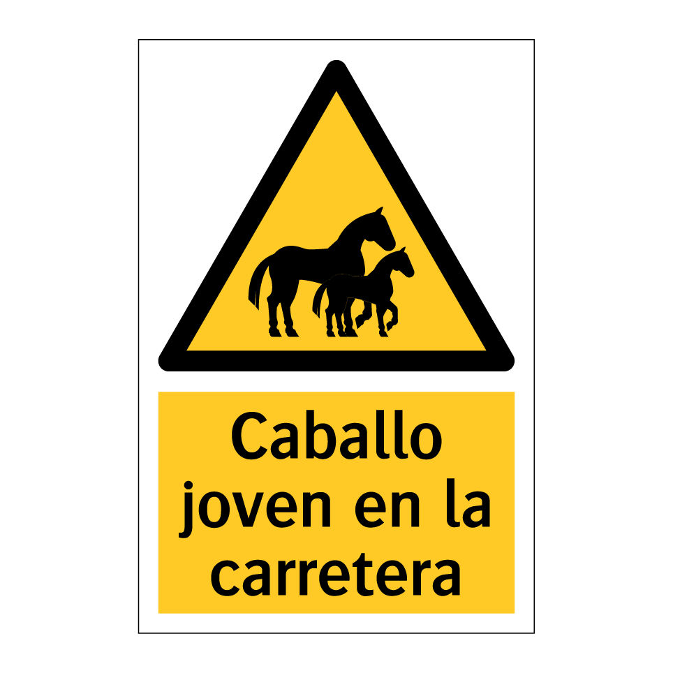 Caballo joven en la carretera