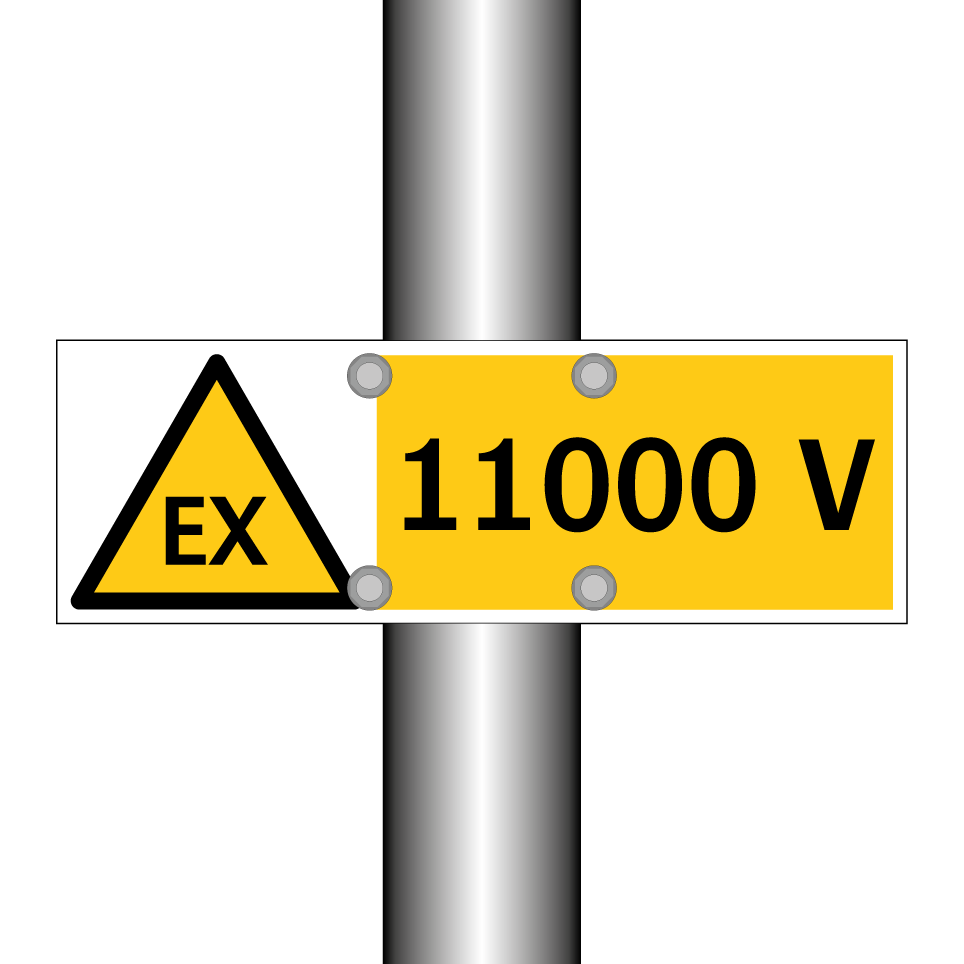 11000 V