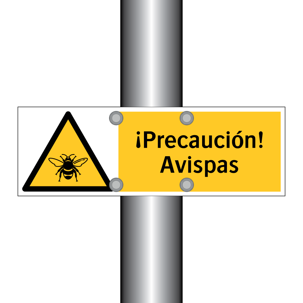 ¡Precaución! Avispas