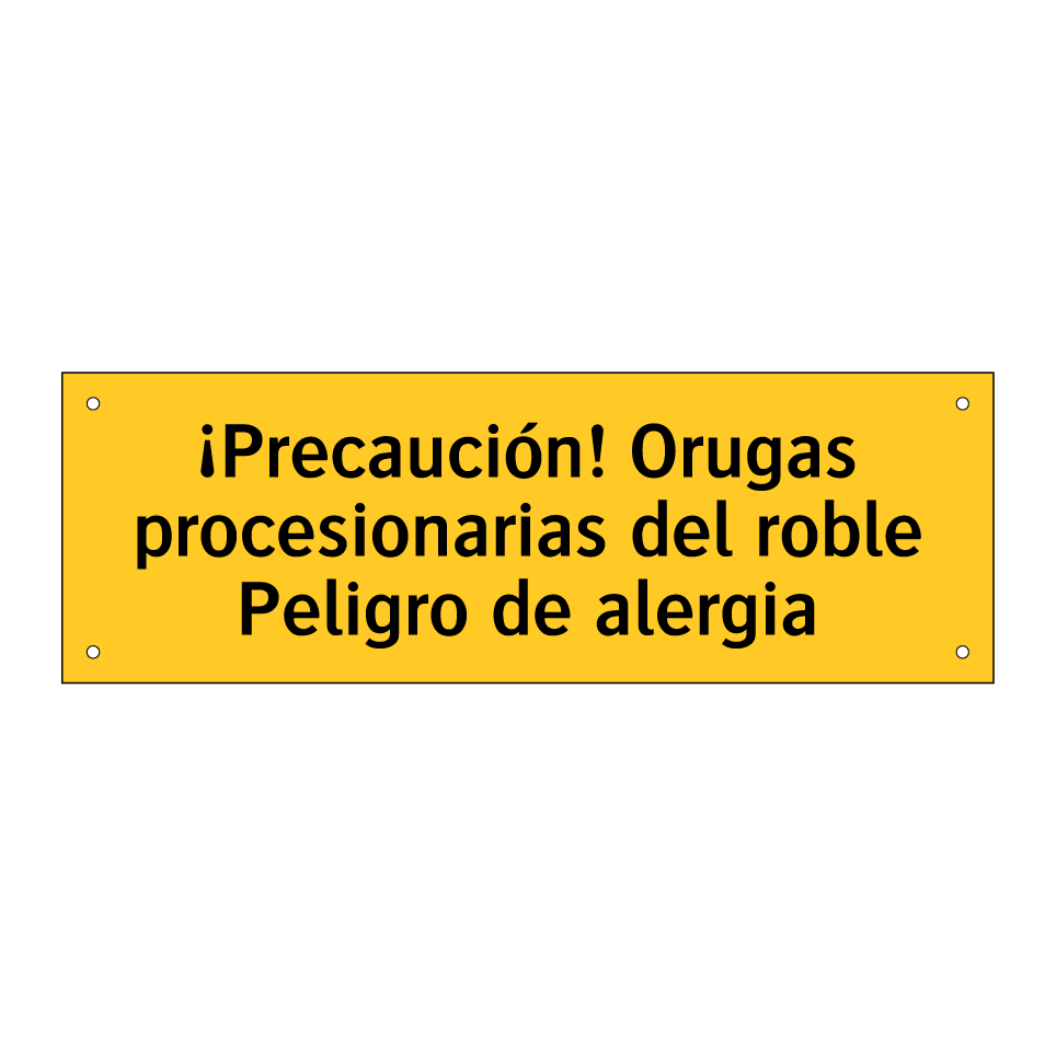 ¡Precaución! Orugas procesionarias del roble Peligro de alergia