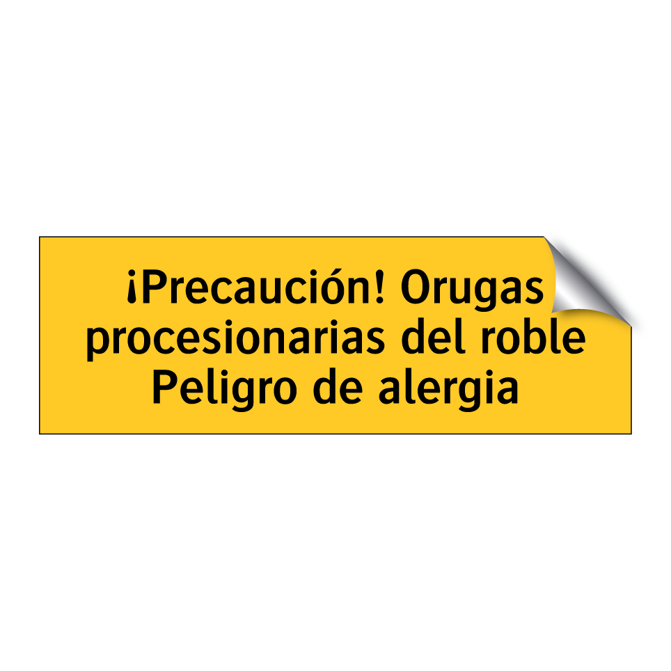 ¡Precaución! Orugas procesionarias del roble Peligro de alergia