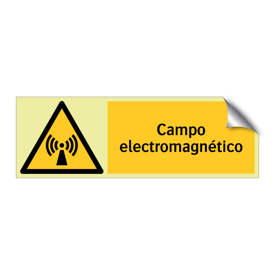 Campo electromagnético