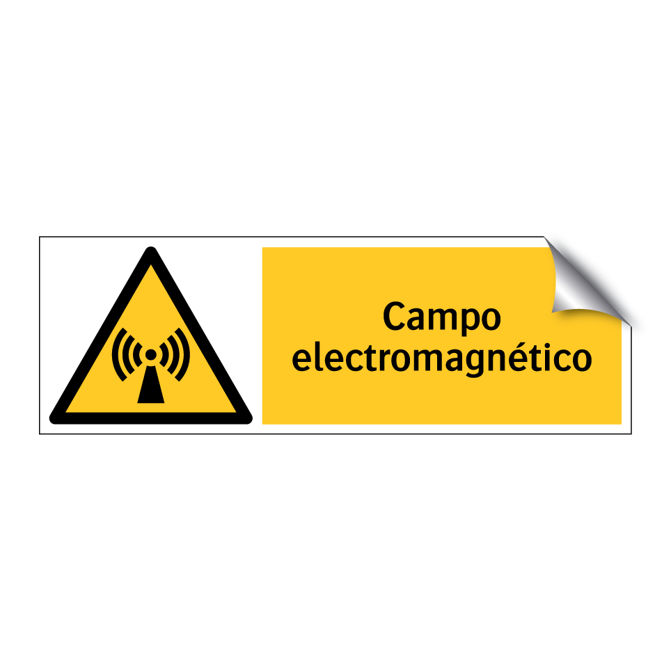 Campo electromagnético