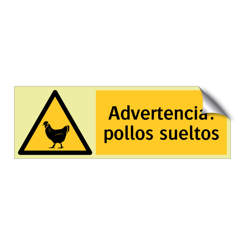 Advertencia: pollos sueltos
