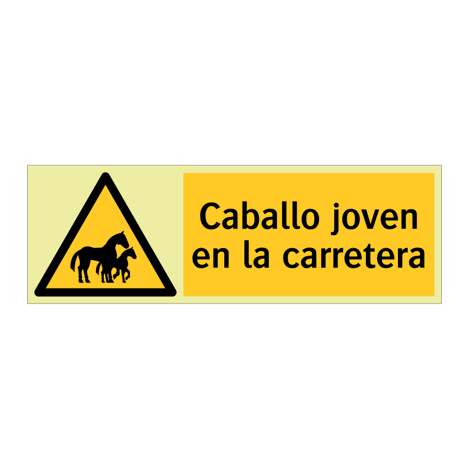 Caballo joven en la carretera