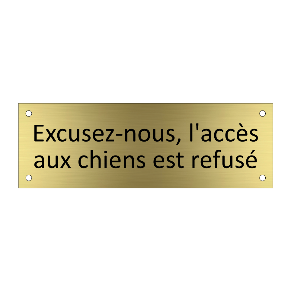 Excusez-nous, l'accès aux chiens est refusé