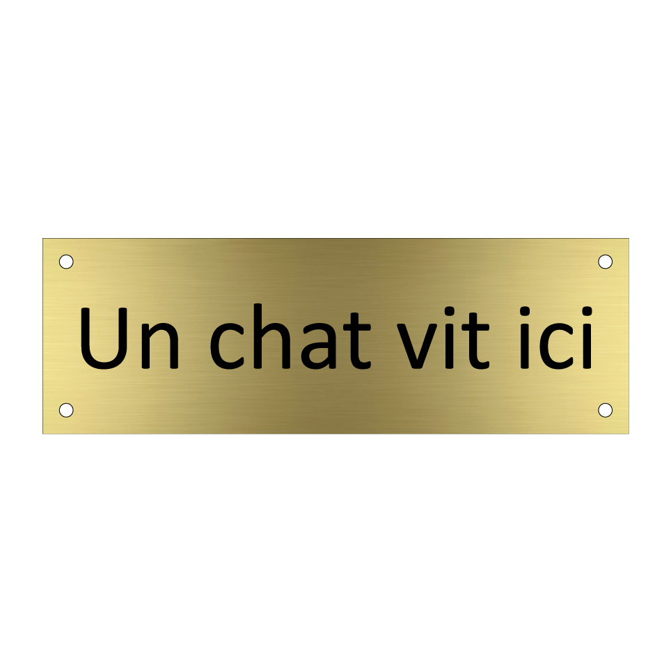 Un chat vit ici