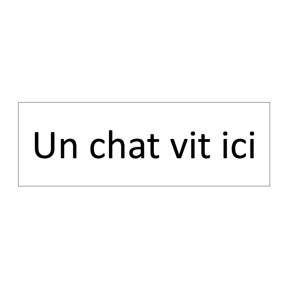 Un chat vit ici