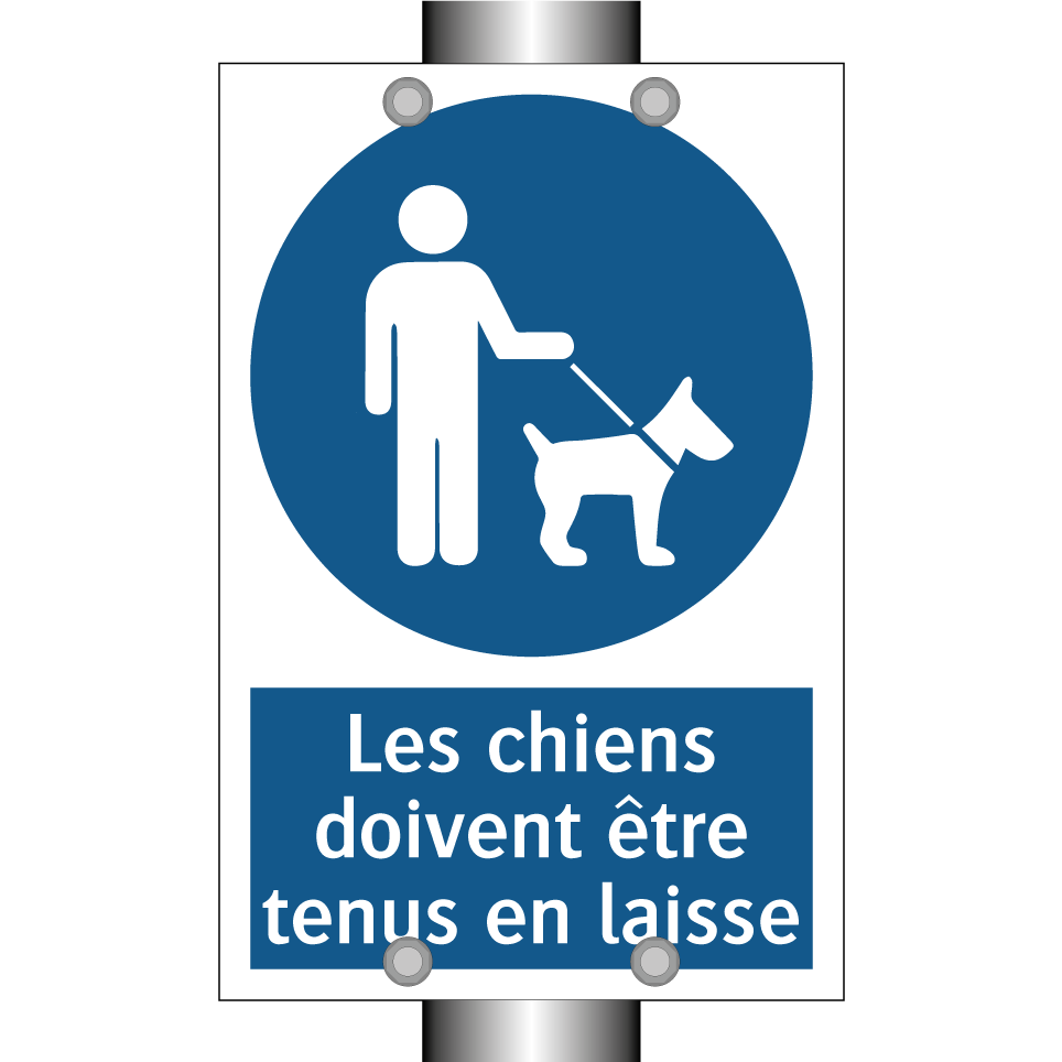 Les chiens doivent être tenus en laisse