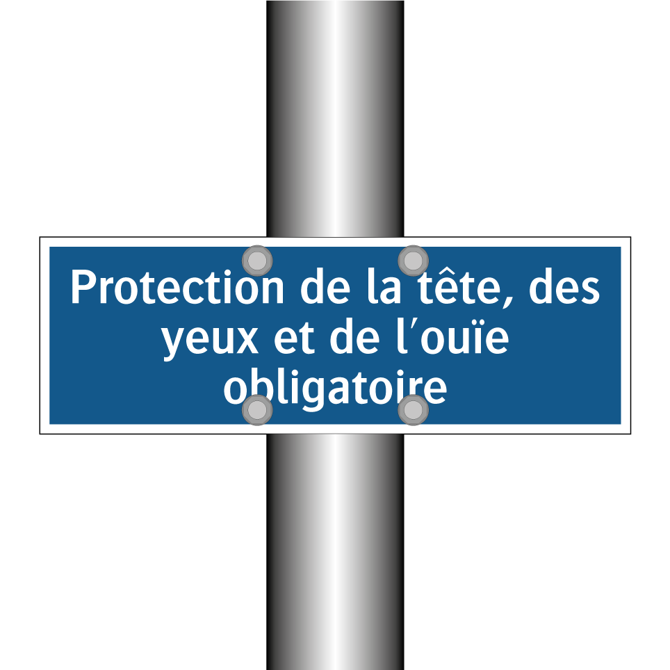 Protection de la tête, des yeux et de l'ouïe obligatoire