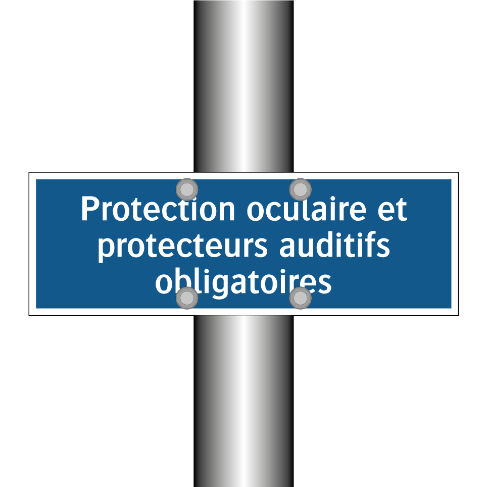 Protection oculaire et protecteurs auditifs obligatoires.