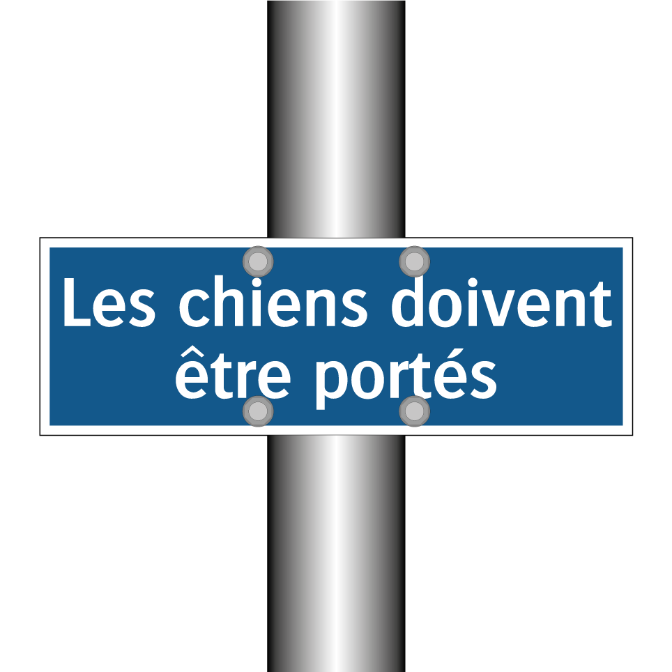 Les chiens doivent être portés