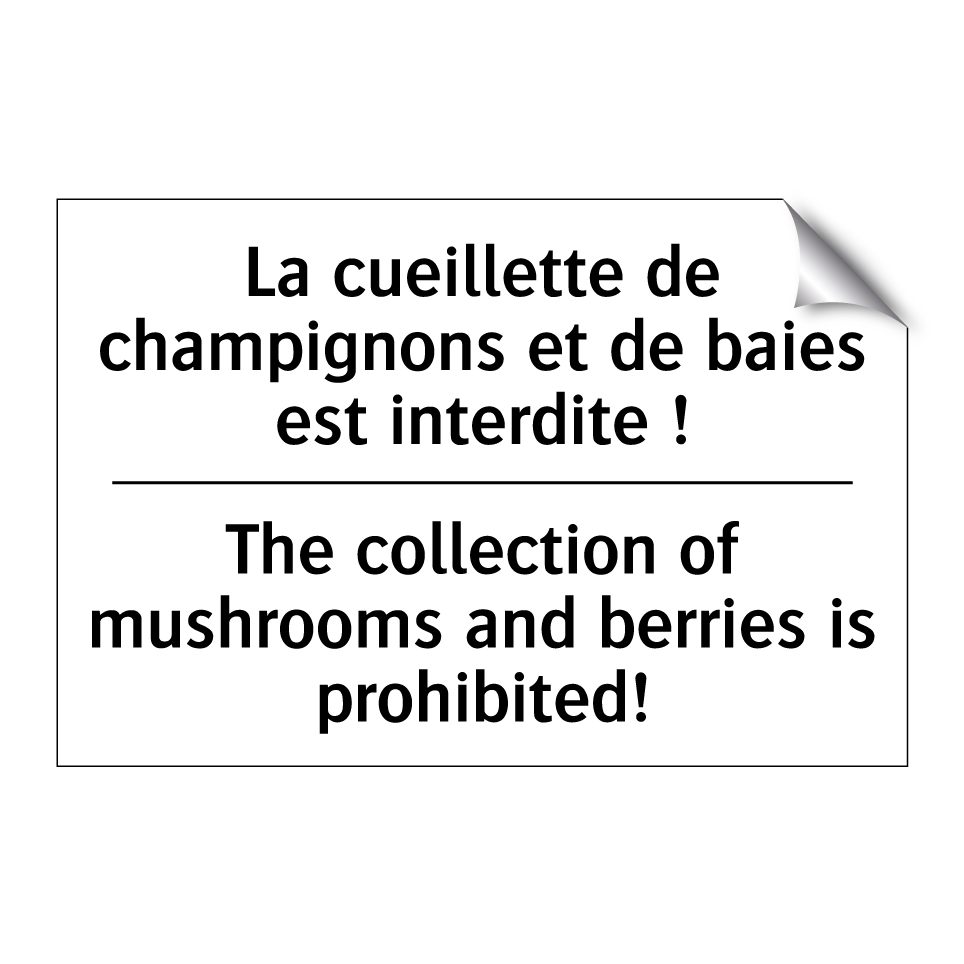 La cueillette de champignons et /.../ - The collection of mushrooms and /.../