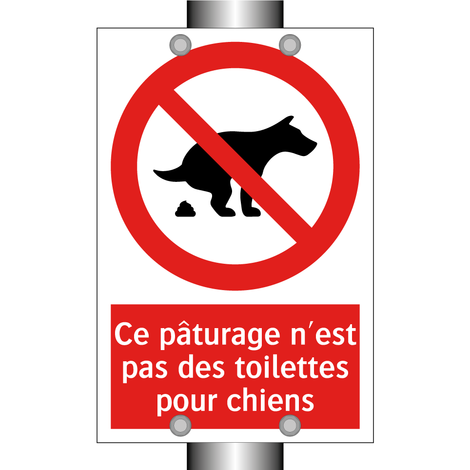 Ce pâturage n'est pas des toilettes pour chiens