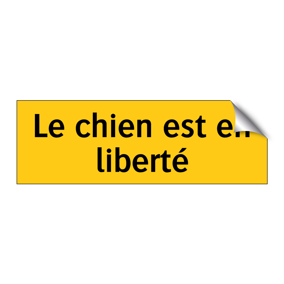 Le chien est en liberté