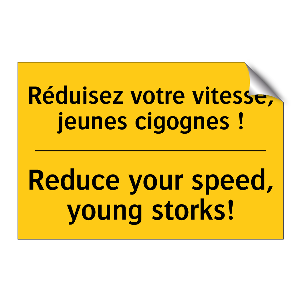 Réduisez votre vitesse, jeunes /.../ - Reduce your speed, young storks! /.../