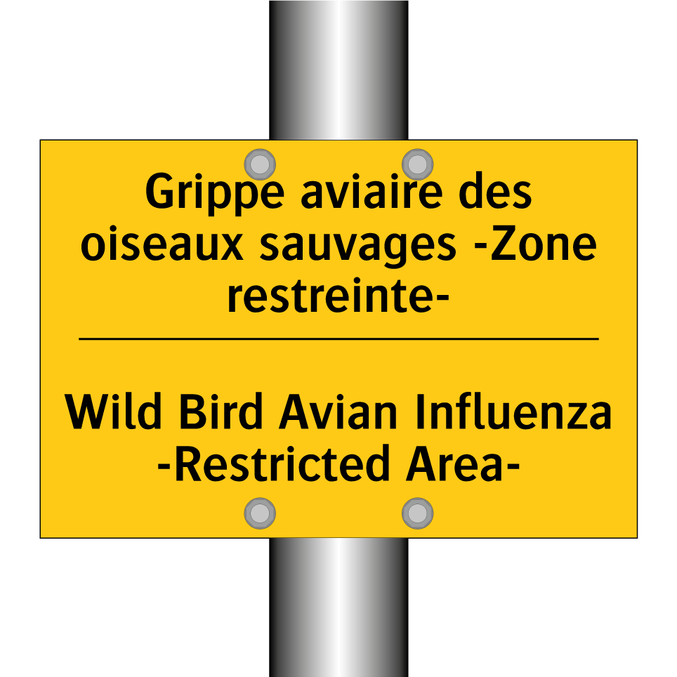 Grippe aviaire des oiseaux sauvages /.../ - Wild Bird Avian Influenza -Restricted /.../