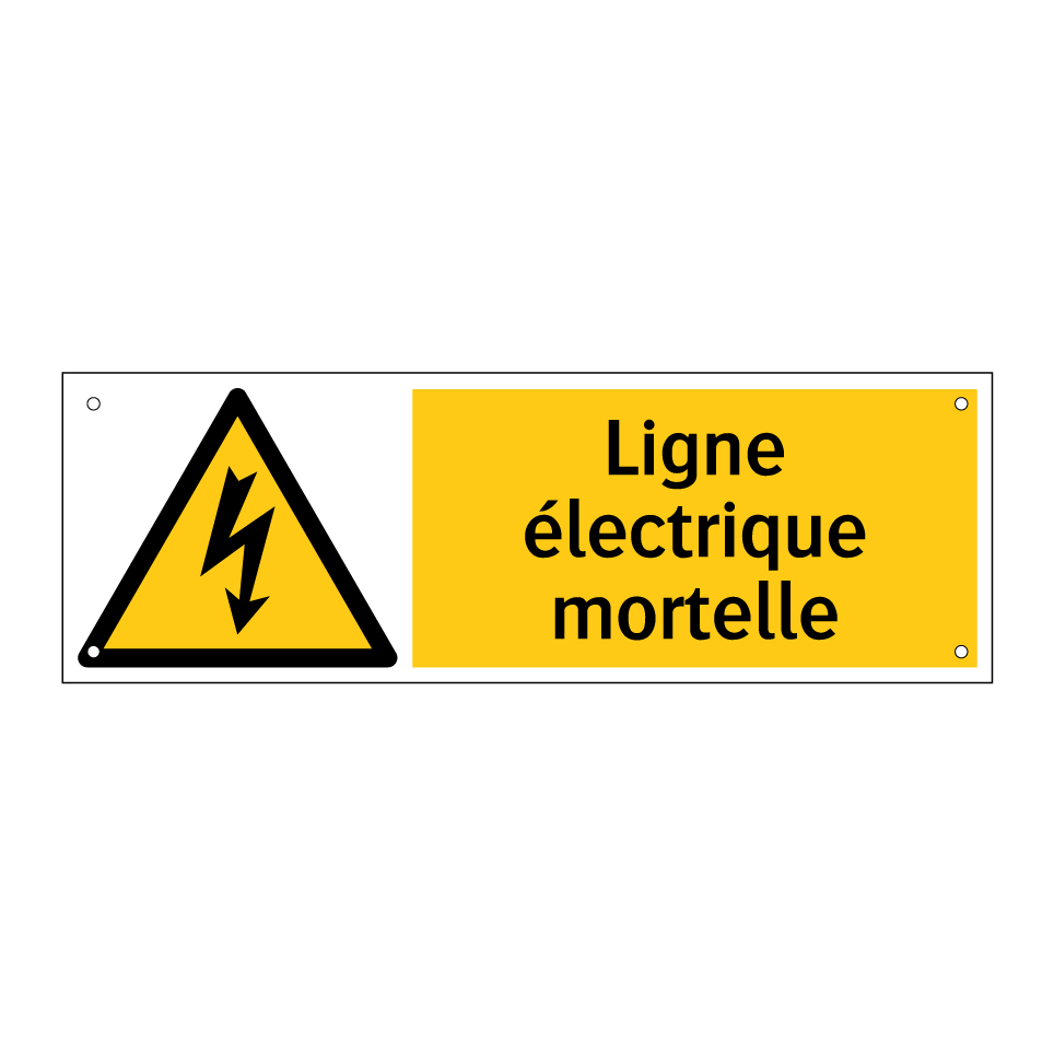 Ligne électrique mortelle